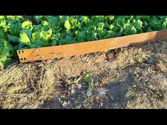 Σύνορα χάλυβα 1SGS 000mm*1.6mm*100mm γαλβανισμένα Corten που ακονίζουν το τρόχισμα χορτοταπήτων Corten